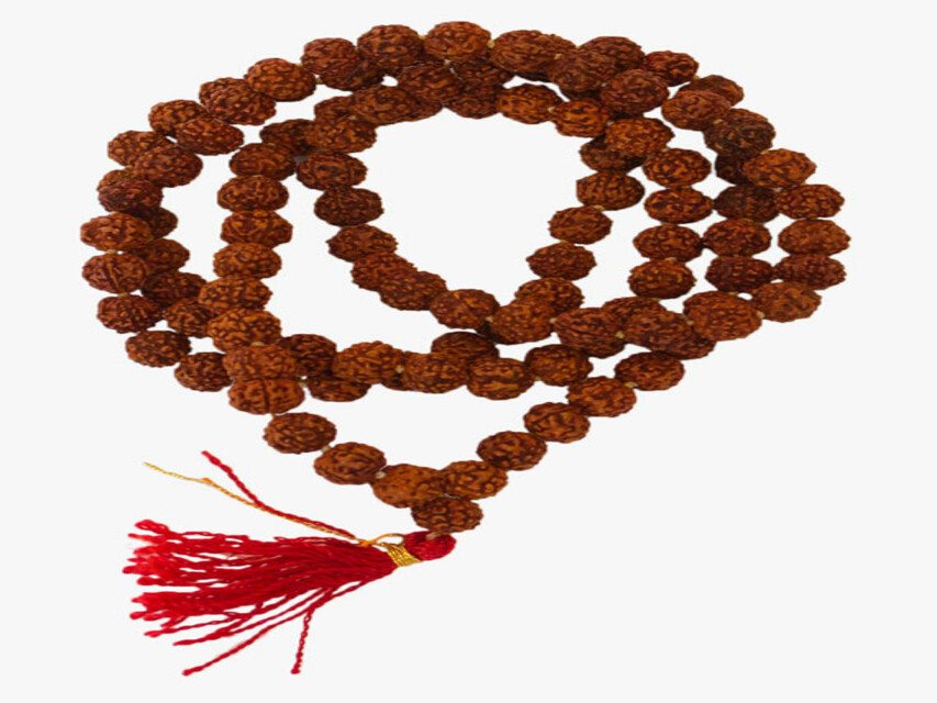 Religion : Value Of Rudraksha : रुद्राक्ष धारण करने से पहले जाने यह नियम 